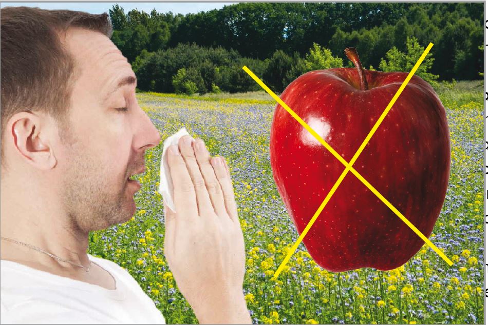 Allergia alla betulla? Occhio alla mela!