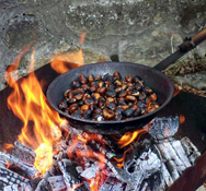 Castagni a rischio: a luglio un incontro sul tema. La natura ci ammonisce: il castagno, che ha salvato la Liguria dalla fame e ha poi dato origine ai piatti più tradizionali, potrebbe scomparire