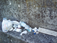 L'angolo della vergogna: la spazzatura abbandonata nel campo (o nel parco)