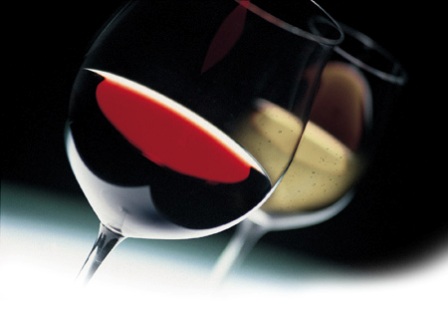 Per la tavola delle feste o per un dono speciale scegli i vini liguri: ecco le eccellenze che si sono aggiudicate i ‘Tre bicchieri' e i 'Due bicchieri' del Gambero Rosso