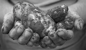 RANGHINELLI  - 1944: di quando a Gattorna nascondevamo le patate e ogni giorno rischiavamo il rastrellamento