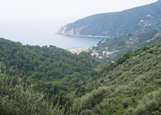 SPLENDIDI ANGOLI DI LIGURIA - Moneglia caput mundi: 22 itinerari tra profumi e panorami mediterranei