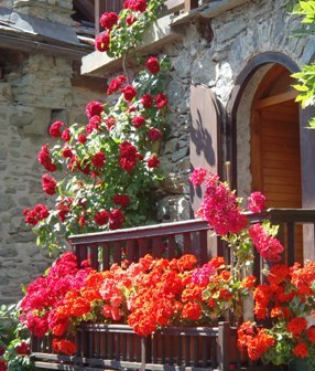 2ª EDIZIONE CONCORSO “MOCONESI IN FIORE”: iscrizioni entro il 14 Luglio

