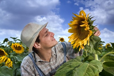 DIRITTO UTILE - LA PRELAZIONE AGRARIA