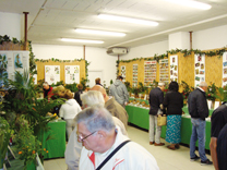 Il 13 e 14 Ottobre 28a Festa del fungo e delle erbe officinali: conoscere e gustare i funghi e scoprire come curarvi con l'iperico e come fare lo zucchero in casa con una piantina