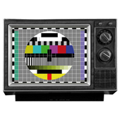 LA MACCHINA DEL TEMPO - febbraio 1977: arriva la TV a colori
