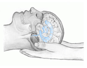 16 Maggio, incontro aperto al pubblico " Craniosacrale Biodinamico: un approccio meditativo alla salute"