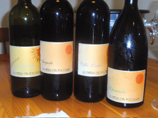VINI DI LIGURIA - Cambiare vita e realizzare il sogno di una tenuta vinicola? Stefano e Laura lo hanno fatto, con successo