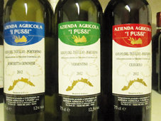 VINI DI LIGURIA -  Azienda Agricola  “i Pussi“: a Ne, in Val Graveglia, una piccola grande realtà che produce vino e olio utilizzando metodi naturali nel rispetto dell'ambiente e di chi gusterà i suoi prodotti