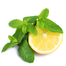 Ricette estive al profumo di menta, limone e the verde