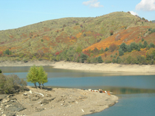 EVENTI, ESCURSIONI PER UN AUTUNNO NEL PARCO DELL'AVETO