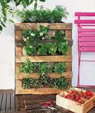 IL CORFOSIGLIO: Il Giardino? In verticale!
