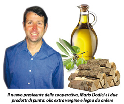 Olio,legna e pulizia e gestione di uliveti e noccioleti: la rinnovata cooperativa agricola di Mezzanego rilancia con nuovi prodotti e servizi tipici dell'entroterra