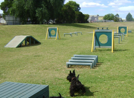 18 settembre: una pizza per creare una “dog area” a Recco