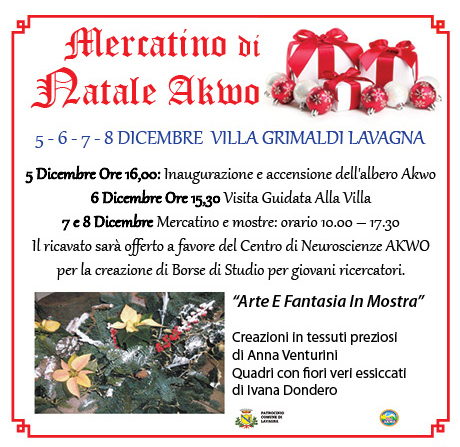 Dal 5 all'8 dicembre: a Lavagna il Natale a favore della scienza, mercatino e mostre pro istituto di neuroscienze