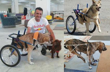 “Cerco di dare finali sereni a storie atroci”: con rotelle e materiali di riciclo Luciano dona nuove zampe ai cani disabili (attenzione, storie forti)