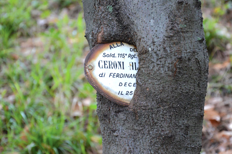 Triste beffa a Rapallo: si chiama Parco delle Rimembranze ma è dimenticato da tutti