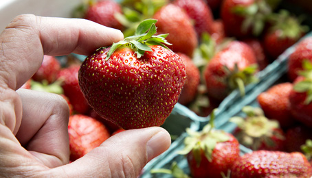 BUONMESE di Giansandro - La fregola della fragola