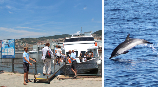 #CorfoleGite: una bella giornata in barca tra delfini, balene e pesci luna