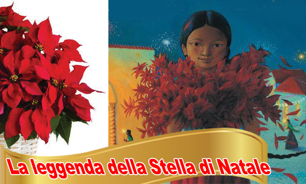 Perché questa pianta è la Stella di Natale? Scopriamo la dolce leggenda che viene dal Messico
