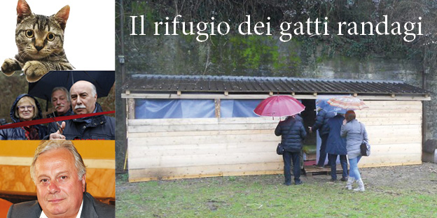 Il sindaco dei gatti: inaugurato a Borzonasca il rifugio che darà riparo a decine di randagi
