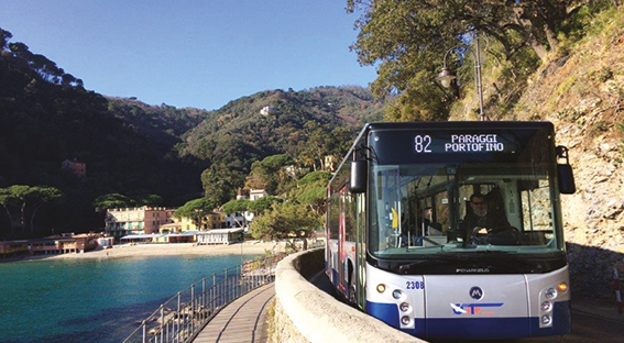 RIVOLUZIONE BUS: ADDIO STRESS DA TRAFFICO E DA PARCHEGGIO