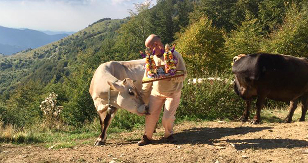 "Adotta una mucca" dei monaci e in cambio ricevi il latte: le offerte serviranno a costruire la stalla

