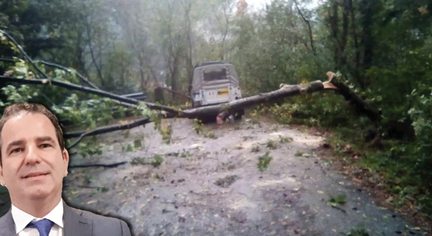 Nell'entroterra il pericolo viene dagli alberi: a Cicagna studio ordinanza urgente per il taglio di quelli sulle strade