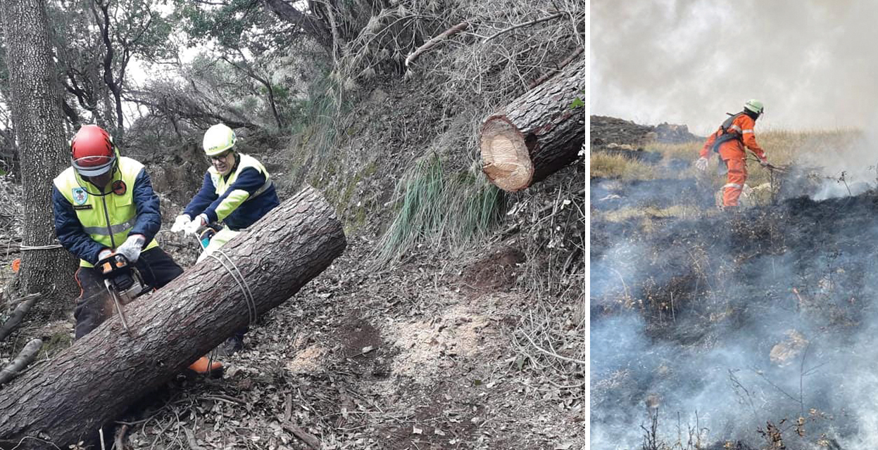 Siccità e incendi: binomio esplosivo
