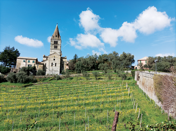 Basilica dei Fieschi, è più di quel che sembra (ha più di 1000 anni e fu anche "vetrina" dei prodotti locali)