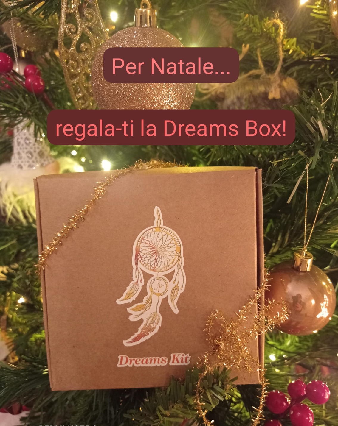 A Natale regala un'esperienza... da sogno