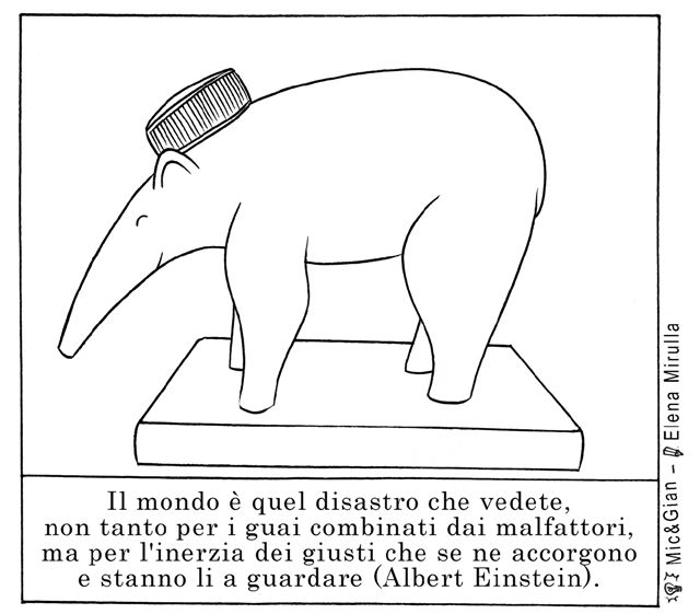 è arrivato il Tappiro d’ardesia!